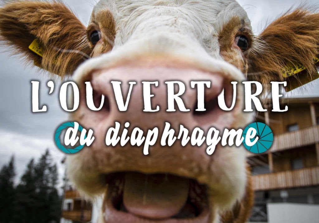 Image illustrant l'article "L’ouverture | luminosité, profondeur de champ et bokeh" - Apprendre la photo avec le blog La Photo clic par clic