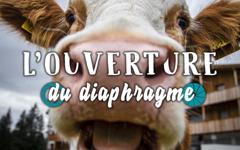 Image illustrant l'article "L’ouverture | luminosité, profondeur de champ et bokeh" - Apprendre la photo avec le blog La Photo clic par clic