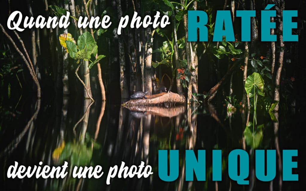 Quand une photo ratée devient une photo unique - Apprendre la photo avec le blog La Photo clic par clic